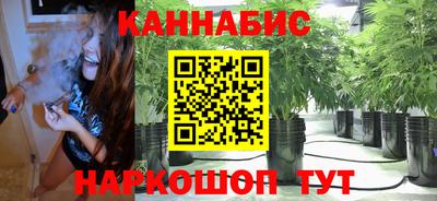 ешки Дубна