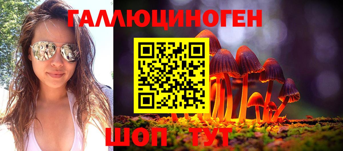 Галлюциногенные грибы Psilocybine cubensis Иваново